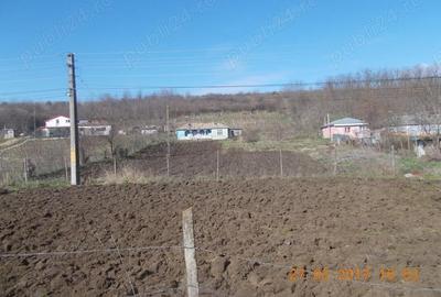 Teren de 3000 mp, în Odaia Manolache - 2
