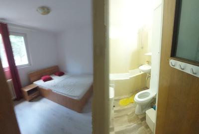 Apartament cu 2 camere decomandat, mobilat în Drumul Taberei - 4