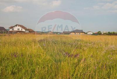 Teren Bod -Strada Harmanului, 732mp, posibil 1098mp/ 2196mp, utilitati - 5