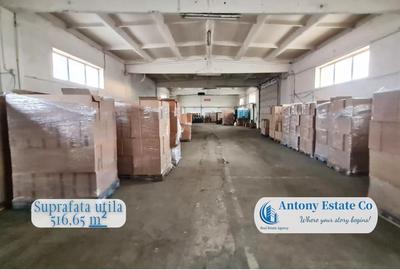 Spațiu comercial, de 516.65002441406 mp, în Palota - 2