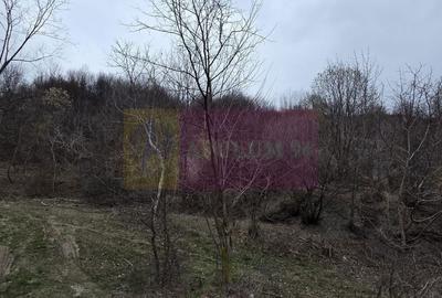 Spațiu comercial, în Șotrile - 1
