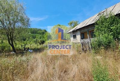 Casă cu 3 camere cu Teren 4525 Mp în Băbana - 5
