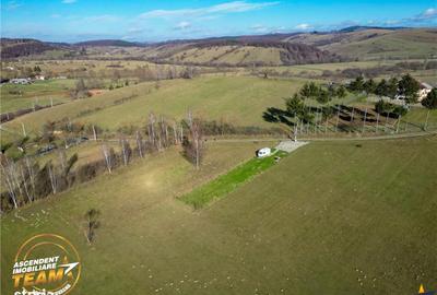 Spațiu comercial, în Sărămaș - 4