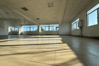 Hala productie P+1 si apartament de serviciu Navodari - c-tie beton - 8