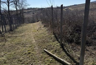 Teren de 3000 mp, în Tomești - 5