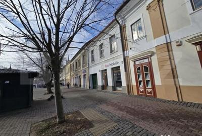 Spațiu comercial, de 223 mp, în Central - 16