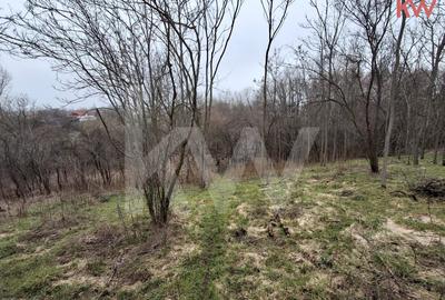 Duplex cu 7 camere cu Teren 2354 Mp în Malu Mare - 20