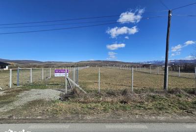 Teren de 3000 mp, în Central - 1