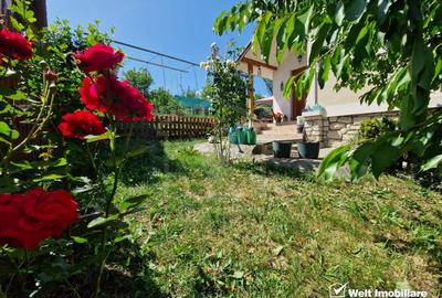 Colt de Rai in Mera - Casa cu Gradina si Livada, la doar 14 km de Cluj-Napoca - 3