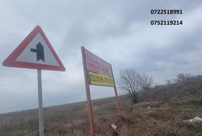 Teren cu potential, 90000 mp, DN2, Afumati, Sindrilita, 18 e/mp - 5