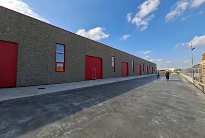 Hala de 900 mp,din beton, avans 30 %, leasing imobiliar 12 ani Hala de 900 mp,din beton, avans 30 %, leasing imobiliar 12 ani - 7