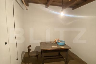 Casa cu anexe ?i 40 ari de gradina Casa cu anexe ?i 40 ari de gradina - 8