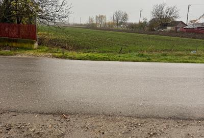 Teren 500 mp Darza Buftea - 1