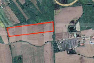 Teren de 52600 mp, în Central