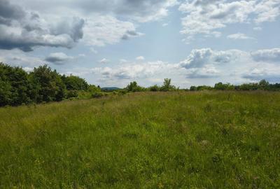 Teren 4.980 mp in Stubeiu, jud. Prahova - 1