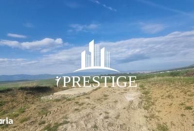 Teren de 2000 mp, în Trei Stejari - 12