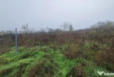 Casă cu 4 camere cu Canalizare în Mineri - 7