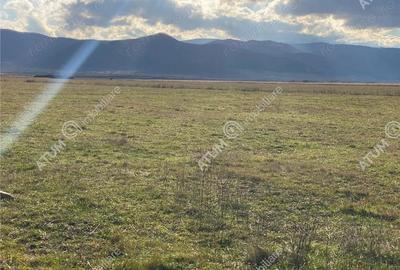 Parcela teren extravilan de 486 mp situat in Cristian - 8