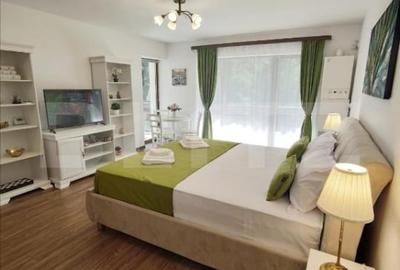 Studio cochet Predeal - mobilat, utilat, vedere superba! - 4