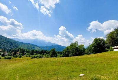 Teren Intravilan 80.000mp 3 Brazi,Predeal Comision 0 - 3