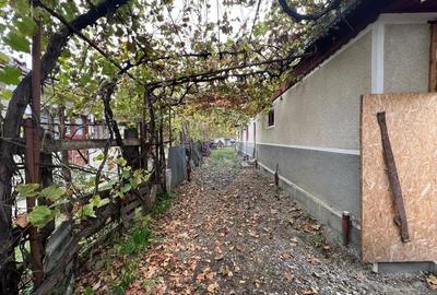 Casă individuală cu 5 camere cu Teren 967 Mp în Tisa-Silvestri - 19