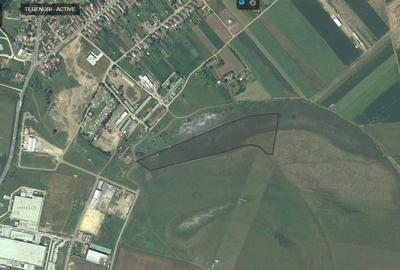 Teren agricol extravilan de 40000 mp, în Zimandu Nou
