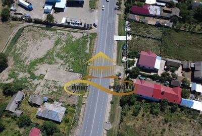 Teren la strada principala - E85 - DE INCHIRIAT - OFERTA! - 5