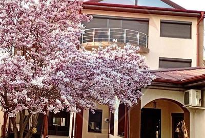 Casă cu 6 camere cu Teren 360 Mp în Andronache - 5