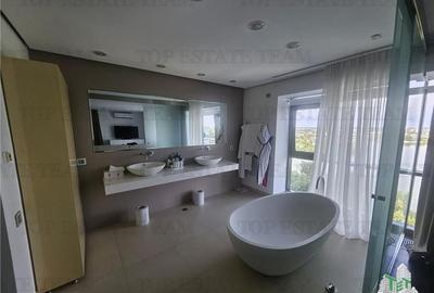 Vanzare Penthouse zona Tei vedere lac - 10