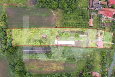 Teren Construcții intravilan de 7979 mp, în Delenii - 1