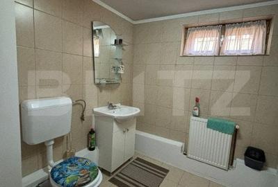 Casa cu destinatii multiple, 8900 mp teren, Vatra Moldovitei - 8