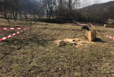 Teren Construcții intravilan de 715 mp, în Olănești - 2