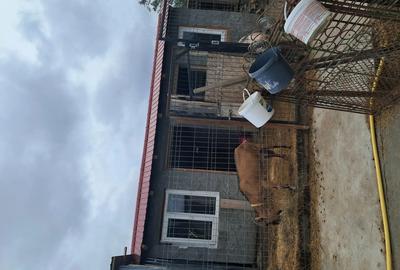 Casa de vanzare ,sau schimb cu apartament la timisoara - 3