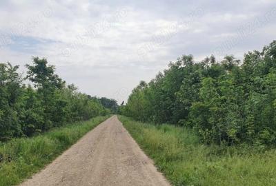 Teren de 1250 mp, în Ciofliceni
