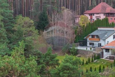 Vila moderna cu vedere spre padure Poiana Angelescu - 5