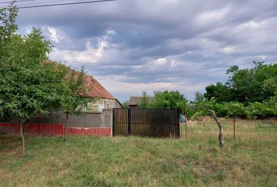Casă cu 2 camere cu Teren 1400 Mp în Secusigiu - 4