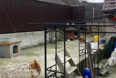 Casă individuală cu 4 camere cu Teren 1800 Mp în Negoiești - 6