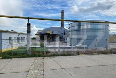 Hala+birouri, 15533mp utili, teren 21323mp, Freidorf - 3