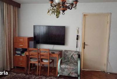 Apartament cu 2 camere decomandat, mobilat în Brazda lui Novac - 3