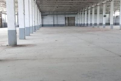 Activ de vanzare la 10 Km de Municipiul Braila ,3 Km de Dunare - 16