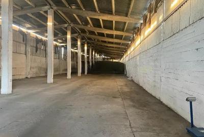 Spațiu comercial, de 25,831 mp, în Periș - 8