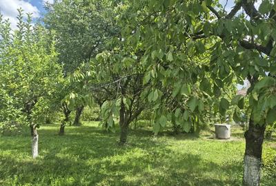 Casă cu 4 camere în Central - 6