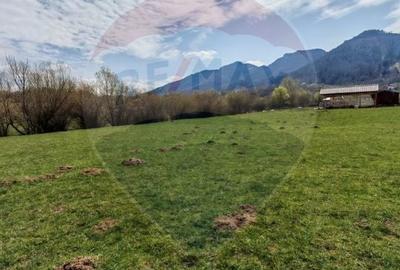 Teren Construcții intravilan de 1404 mp, în Sud-Vest - 3