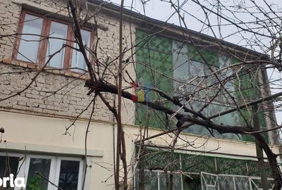 Casă cu 6 camere cu Teren 242 Mp în Central - 2