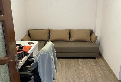 Casa de vanzare bereasca - 10