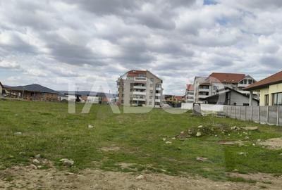 Teren intravilan de vanzare in Sebes drumul Petrestiului - 1