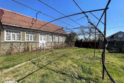 Casă cu 3 camere cu Teren 1500 Mp în Saca - 8