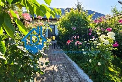 SOMOVA- CASA 4 CAMERE ,SUPRAFATA 98 MP, TEREN 1400 MP - 9