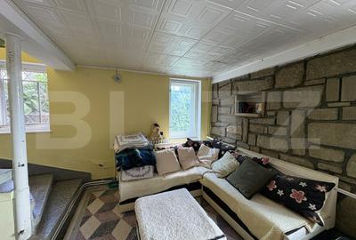Casa individuala 5 camere, curte, pet friendly, zona Dambul Rotund - 4