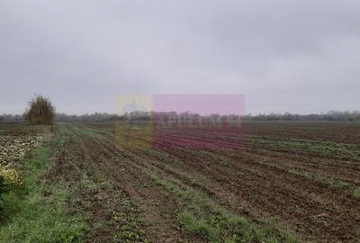 Teren Construcții intravilan de 2250 mp, în 1 Decembrie - 11